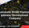 Automatic-BUSD-payment-gateway-development-company
