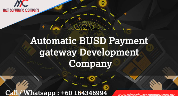 Automatic-BUSD-payment-gateway-development-company