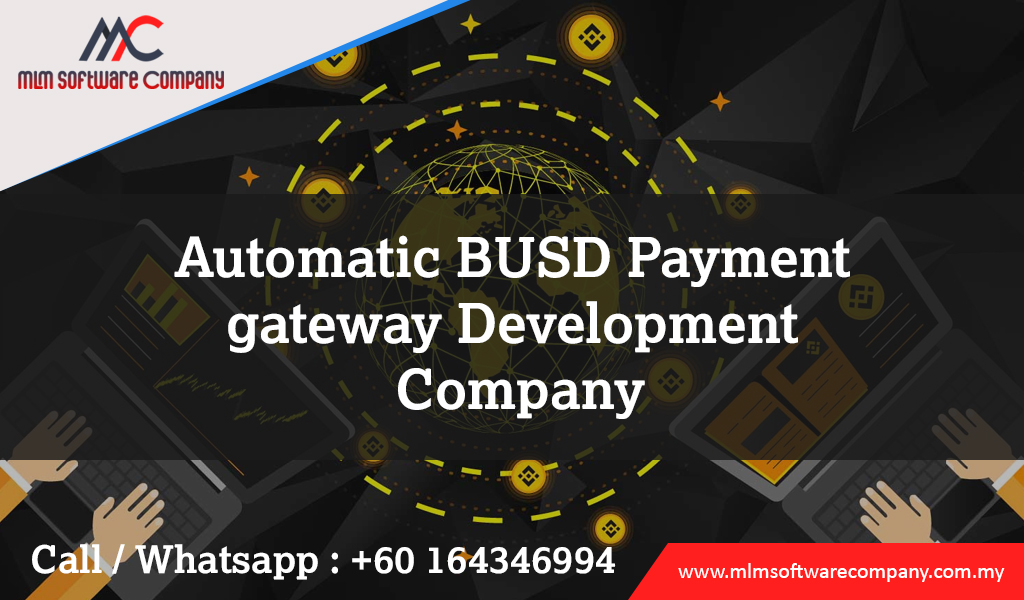 Automatic-BUSD-payment-gateway-development-company